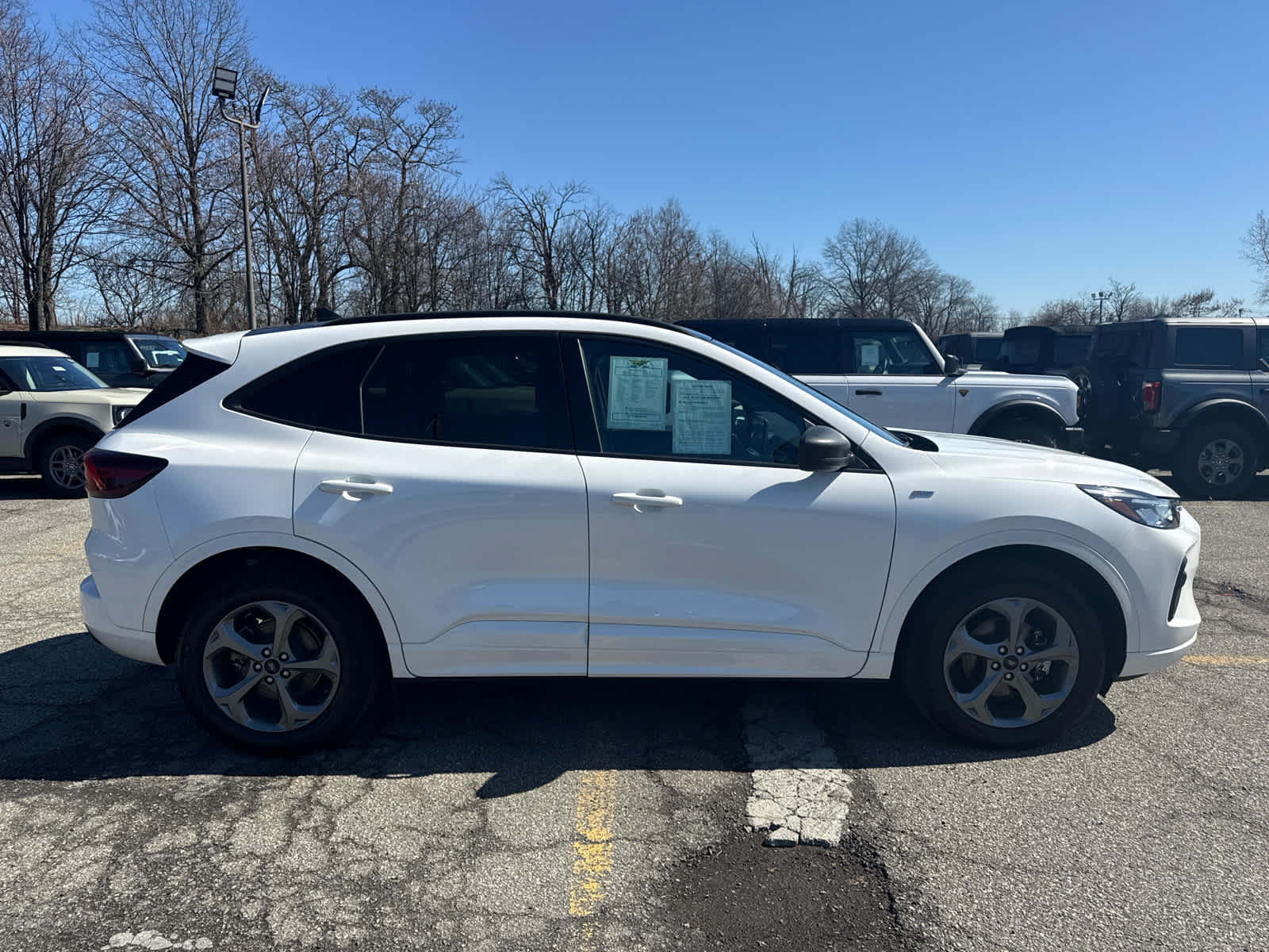 2024 Ford Escape ST-Line